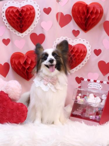 20240225マリーちゃん